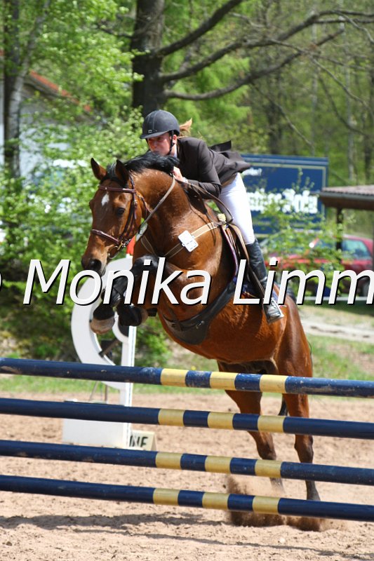 004M2095_Arielle_Punkte L m. Joker.JPG